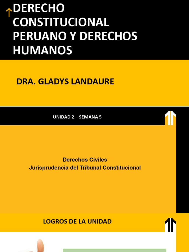 SESIÓN 5 Derechos Humanos | PDF | Derecho Civil (Common Law) | Debido