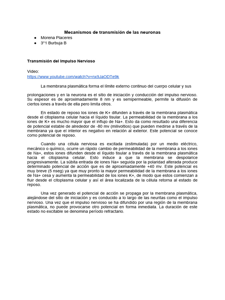 Transmisión y Sinapsis Neuronal | PDF | Neurotransmisor | Neurona