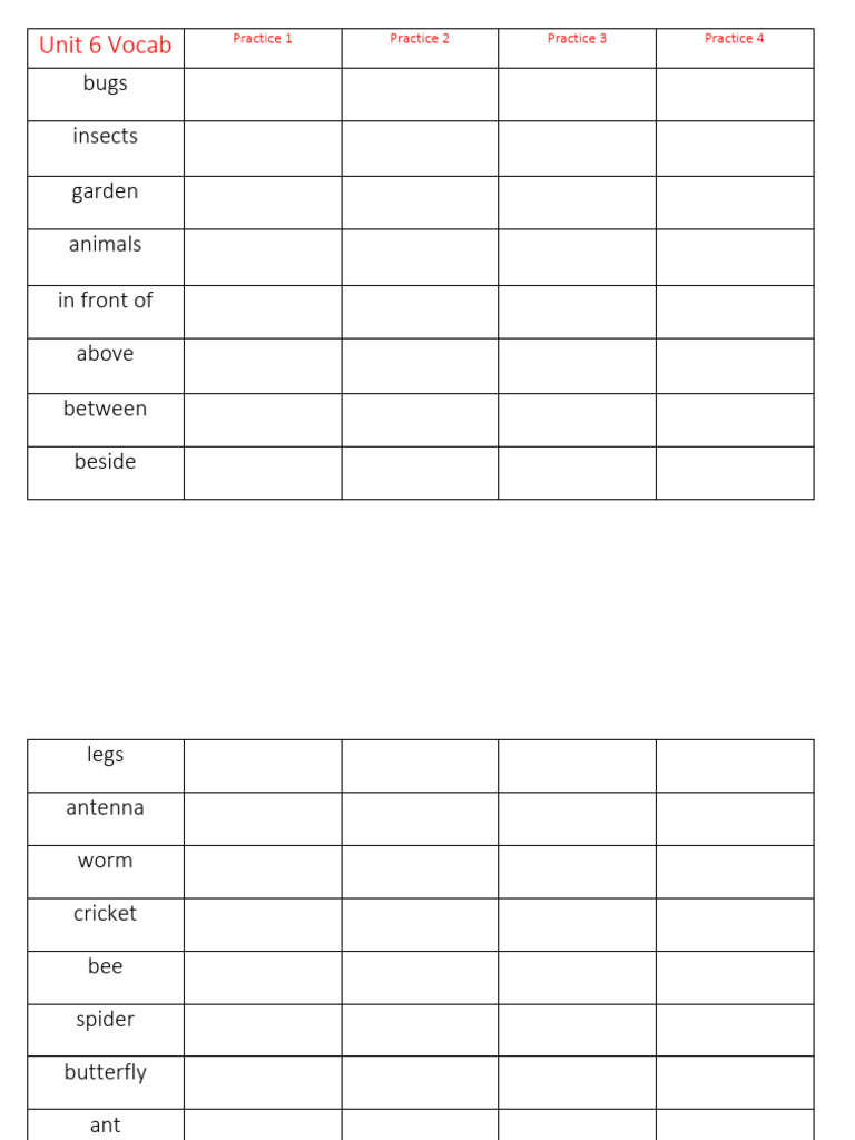 Unit 6 Vocabulary Practice Guide | PDF