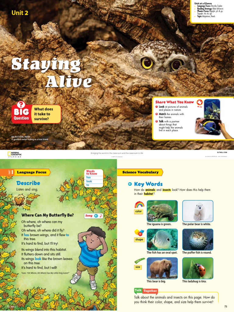 Reach Higher Student's Book 2B: unknown author