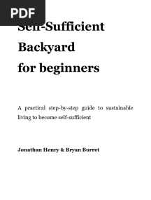 Self Sufficient Backyard For Beginners