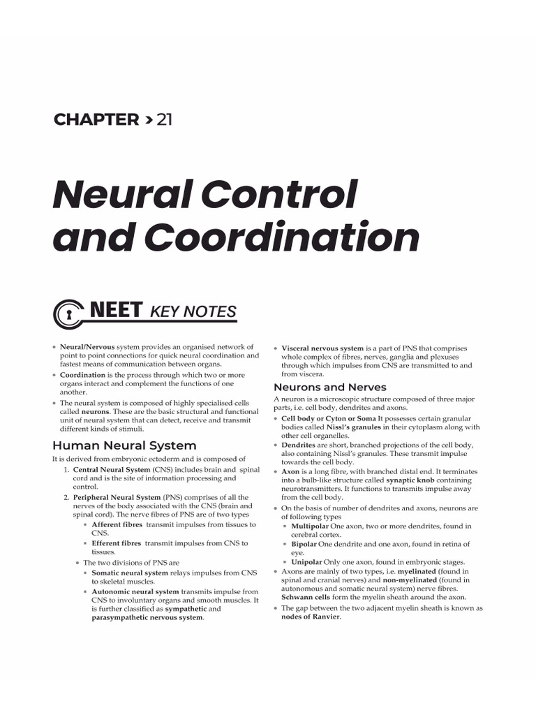 21.... Neural Control and Coordination | PDF