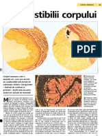 Corpul Omenesc - Combustibilii corpului