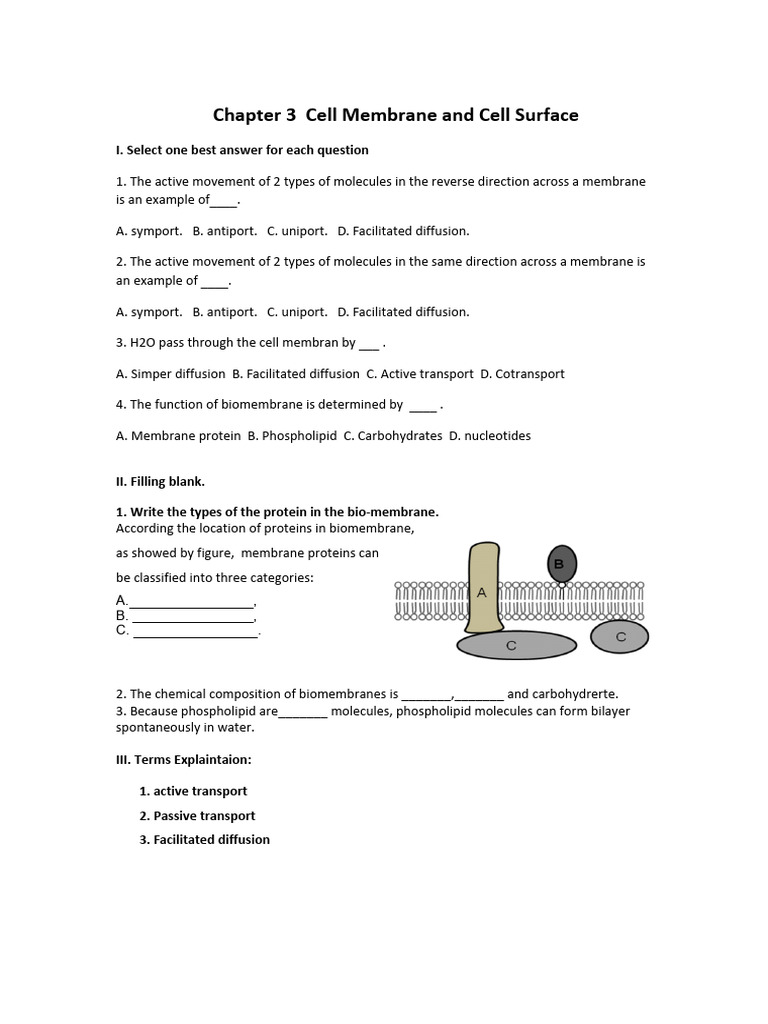 Chapter 3 Cell Membrane and Cell Surface | PDF