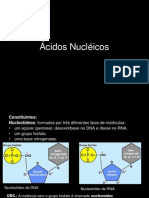 Baixado - ácidos nucleicos