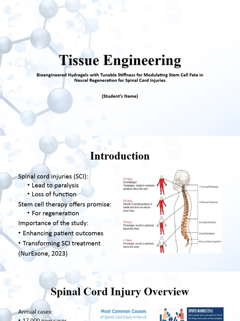 Hydrogel Innovations in Spinal Regeneration | PDF | Tissue Engineering ...