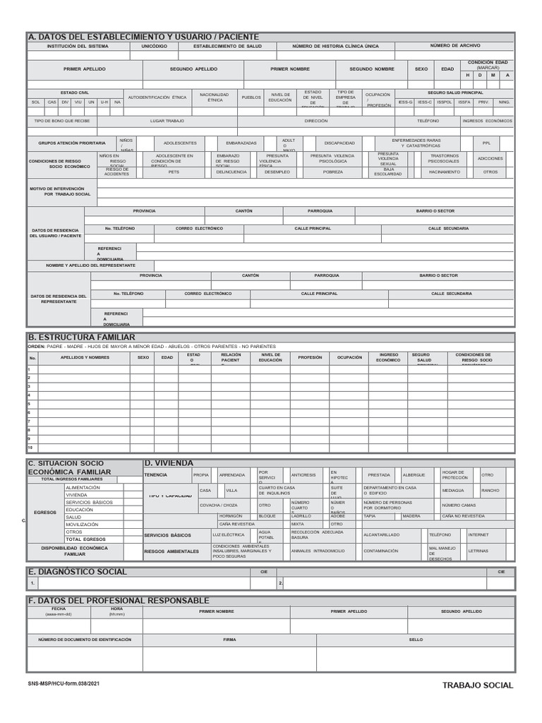 SNS-MSP-HCU-form-038-trabajo Social | PDF | Trabajo Social | Violencia