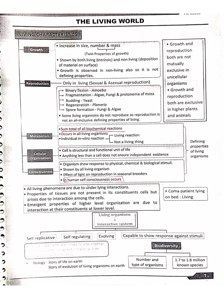 Allen Bio Full Part 1 | PDF