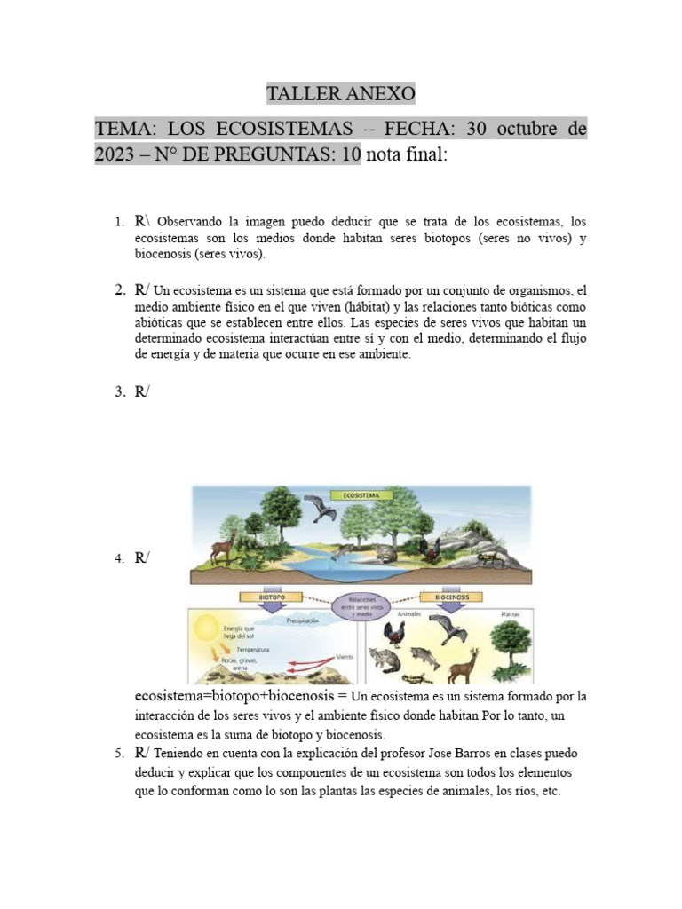 TALLER ANEXO (Los Ecosistemas) | PDF | Ecosistema | Organismos