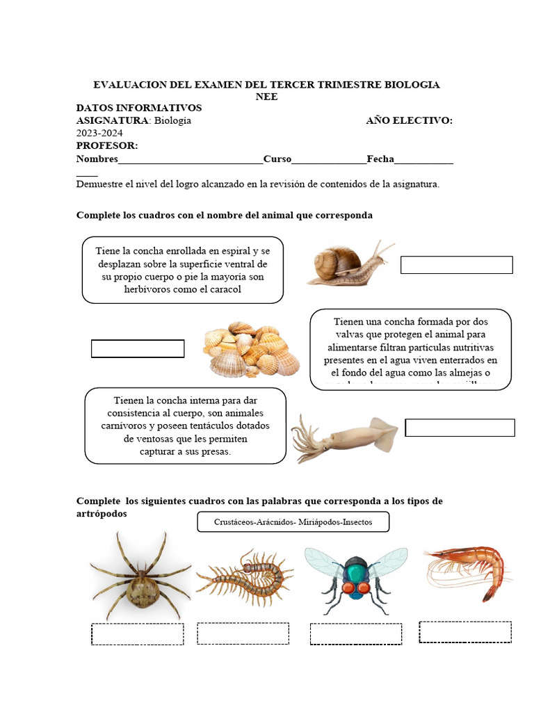 evaluación visual data 5