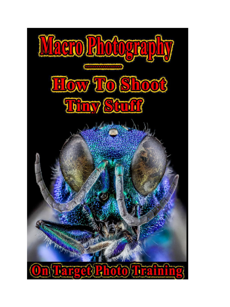 Macro Photography For Amateur | PDF | Macro Photography | Shutter Speed
