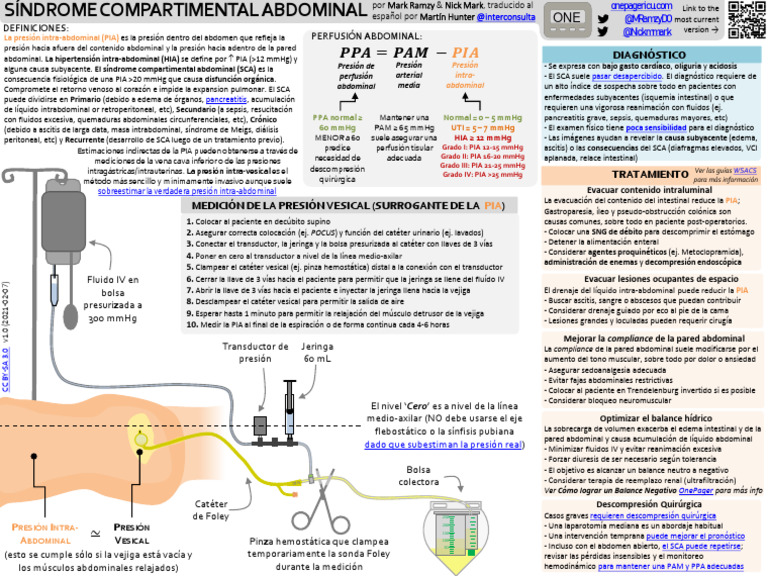 Icu one pager s ndrome compartimental abdominal descargar gratis pdf