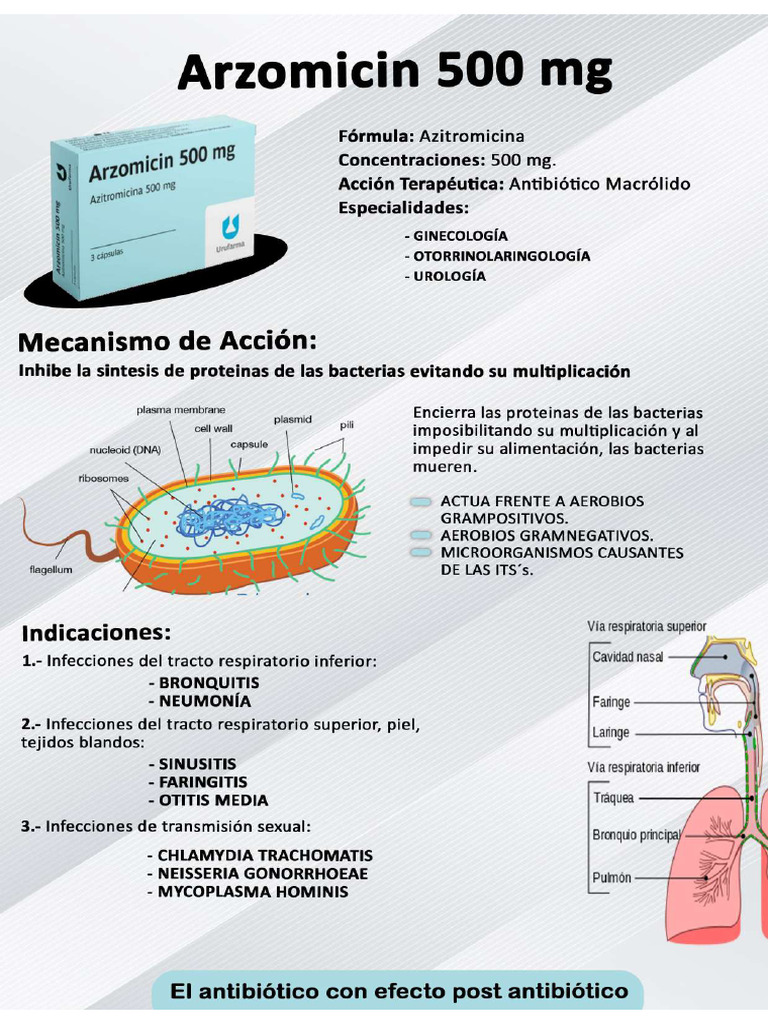 Arzomicin 1 | PDF