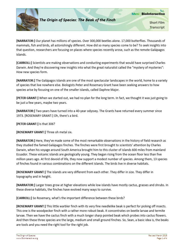 Beakoffinch Shortfilm Transcript | PDF | Biological Evolution | Biology
