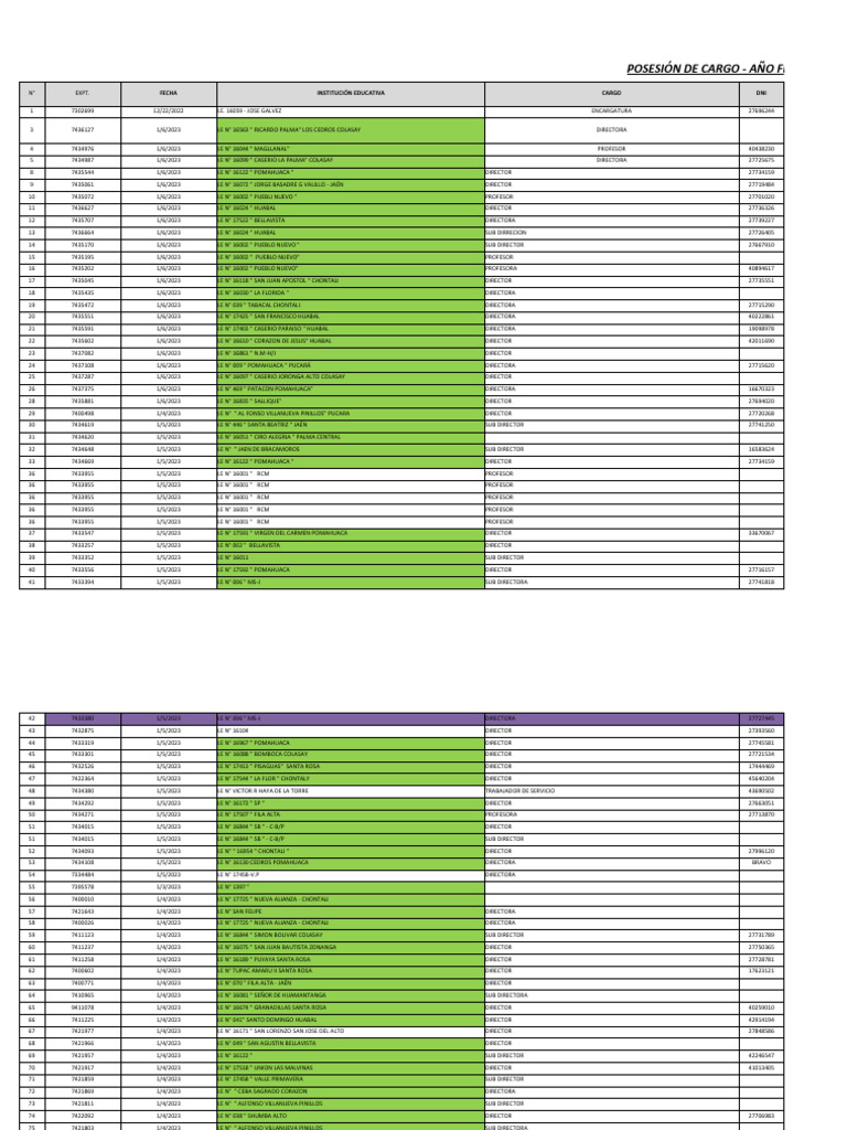Posesion de cargo 29944 276 valeee 2023 completo actualizado pdf