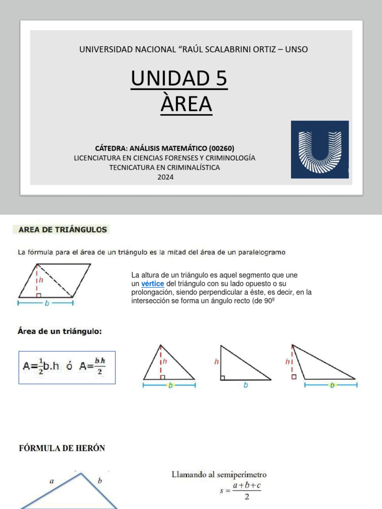 Unidad6 Área, Matemática | PDF