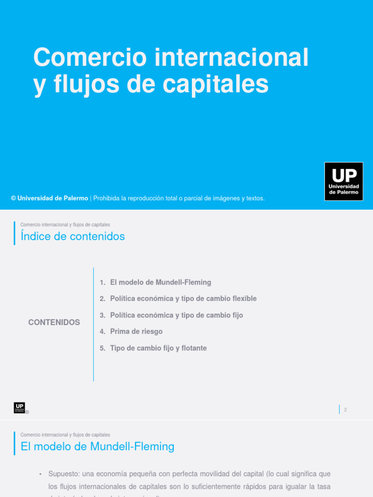 Comercio Internacional y Tipos de Cambio | PDF | Tipo de cambio | La ...