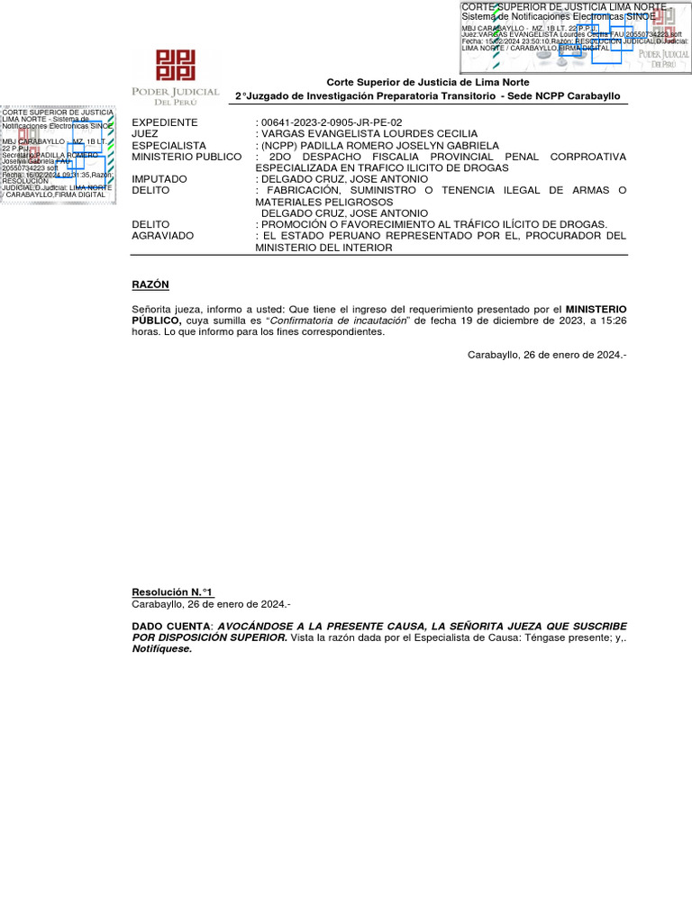 Exp. 00641-2023-2-0905-JR-PE-02 - Resolución - 06214-2024 | PDF | Ley