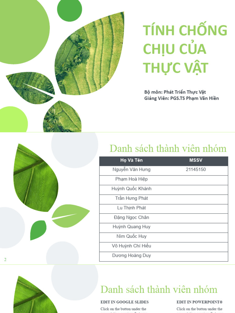 Phat Trien Thuc Vat | PDF