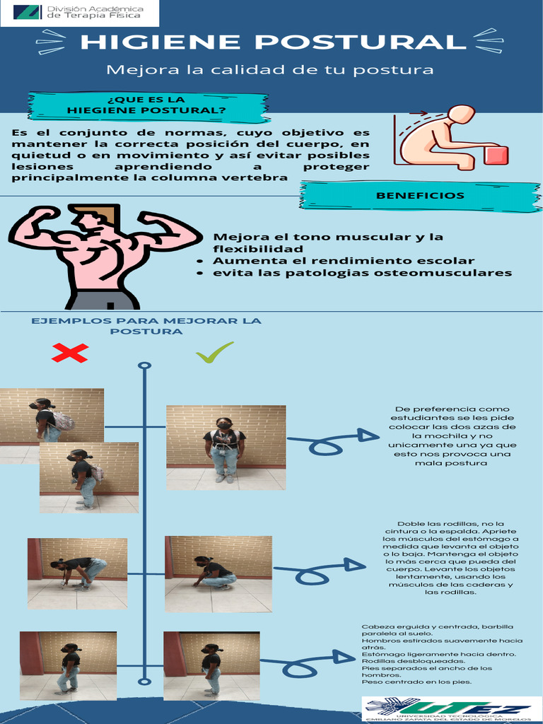 Higiene Postural: Normas y Ejemplos | PDF | Dolor lumbar | Flexibilidad ...