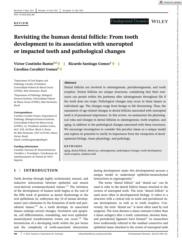 Developmental Dynamics 2021 Bastos Revisiting The Human Dental