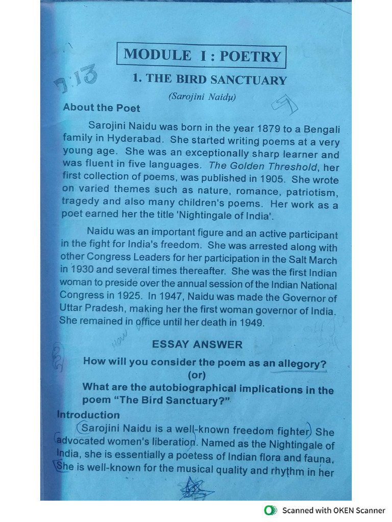 English Guide | PDF