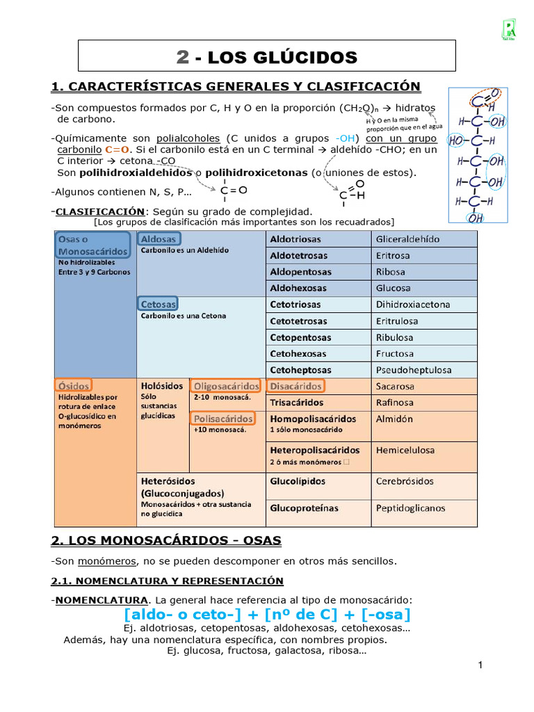 02-los-gl-cidos-pdf-carbohidratos-glucosa
