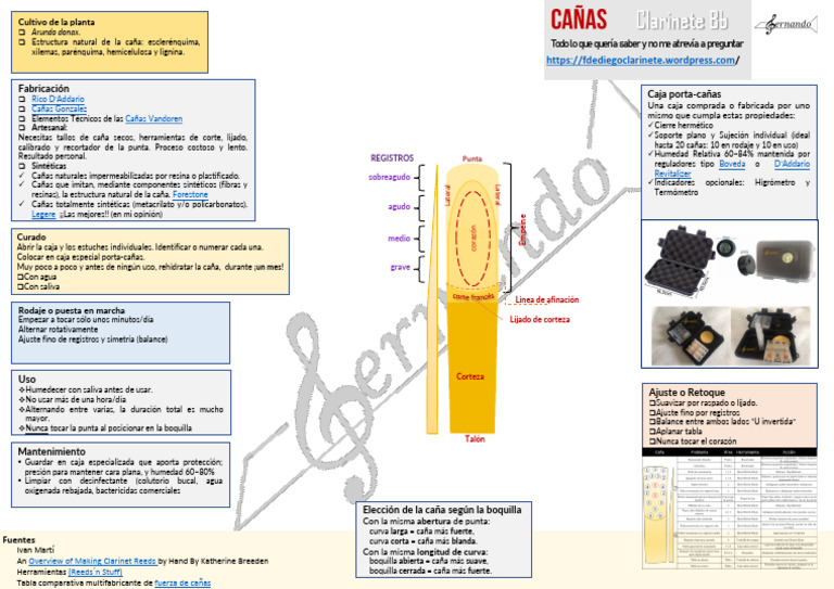 Canas 2 1 | PDF