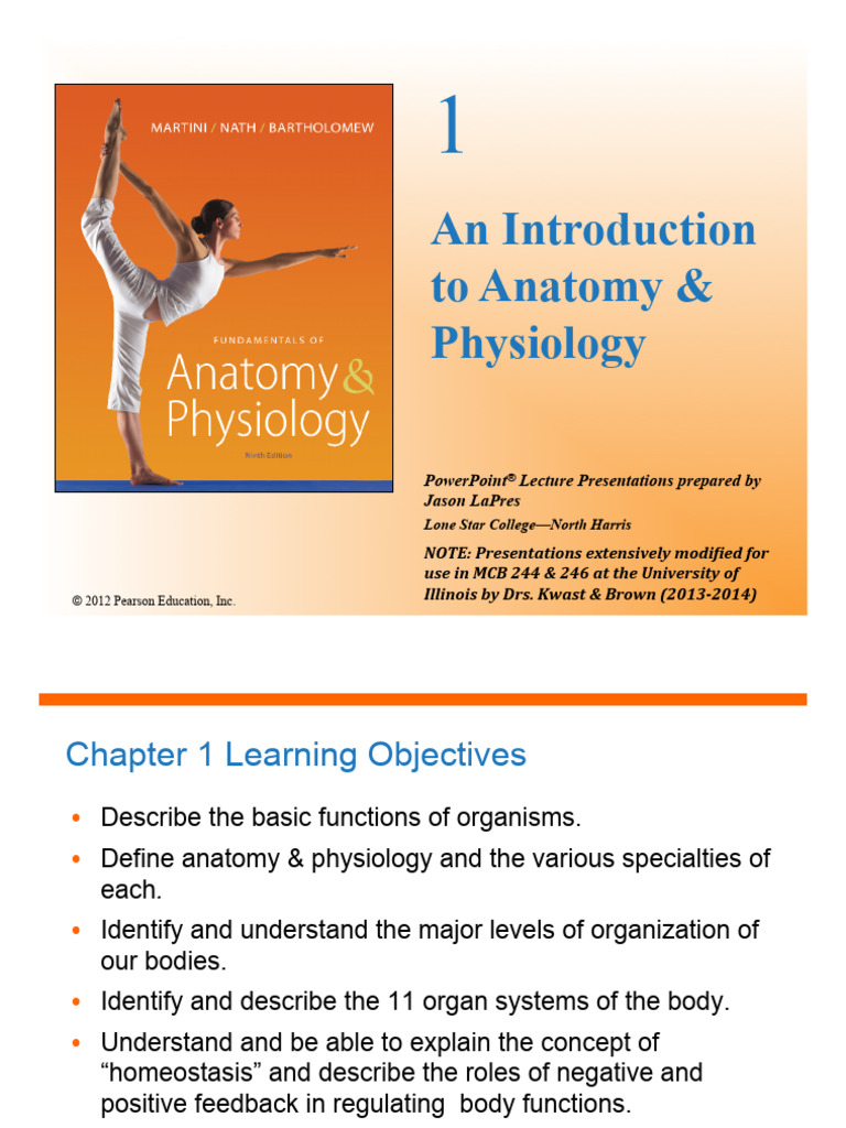 Anatomy & Physiology Introduction | PDF | Peritoneum | Anatomical Terms ...