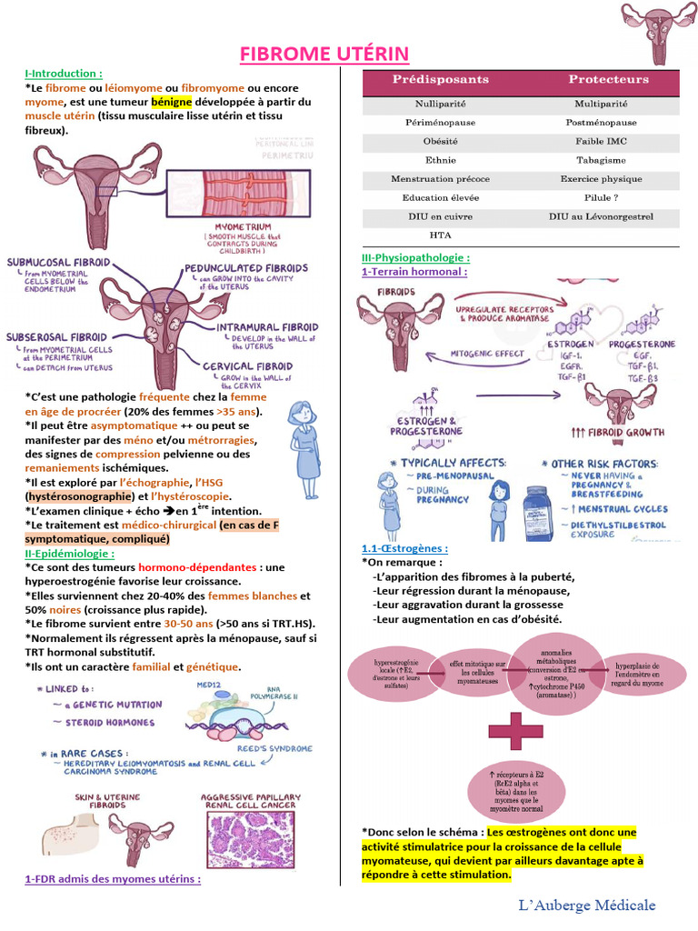 Fibromes utérins : symptômes et traitements | PDF | Utérus | Système ...