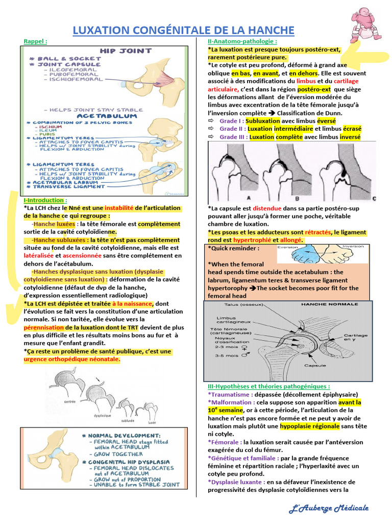 Luxation Congénitale de la Hanche Bébé | PDF | Appareil locomoteur ...
