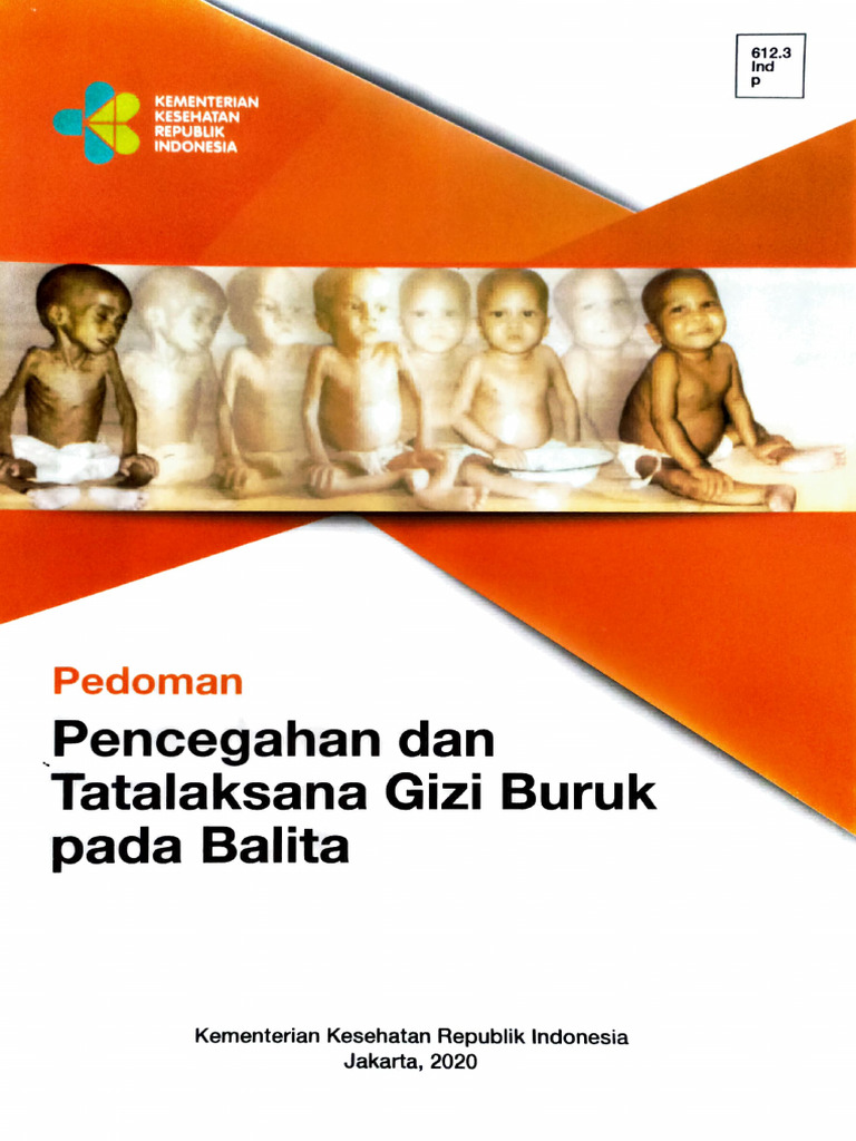 Pedoman Pencegahan Dan Tatalaksana Gizi Buruk Pada Balita Pdf