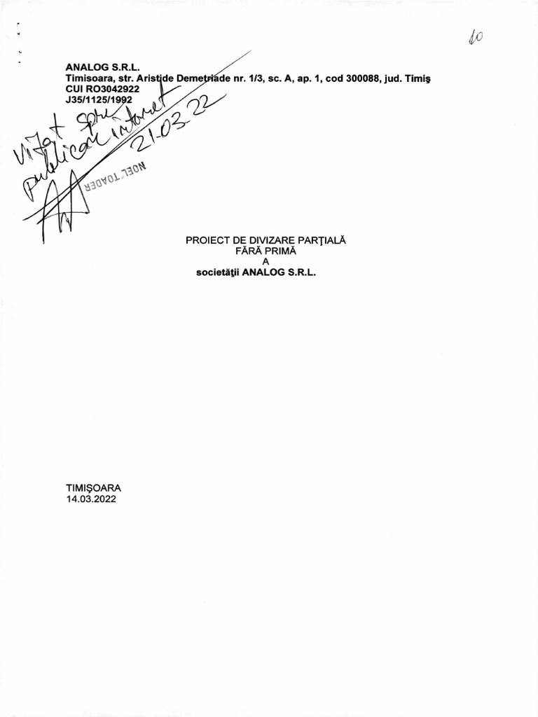 Proiect de Divizare - Fara Prima de Divizare - ANALOG SRL | PDF