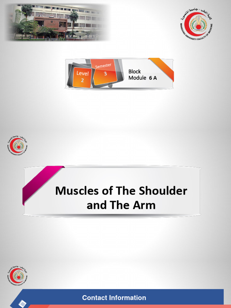 L1 Anatomy Msk Dr Nabawy 2023 Pdf Shoulder Elbow