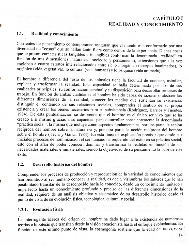 Realidad Y Conocimiento Pdf