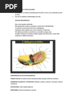 Prova de Biologia Geral