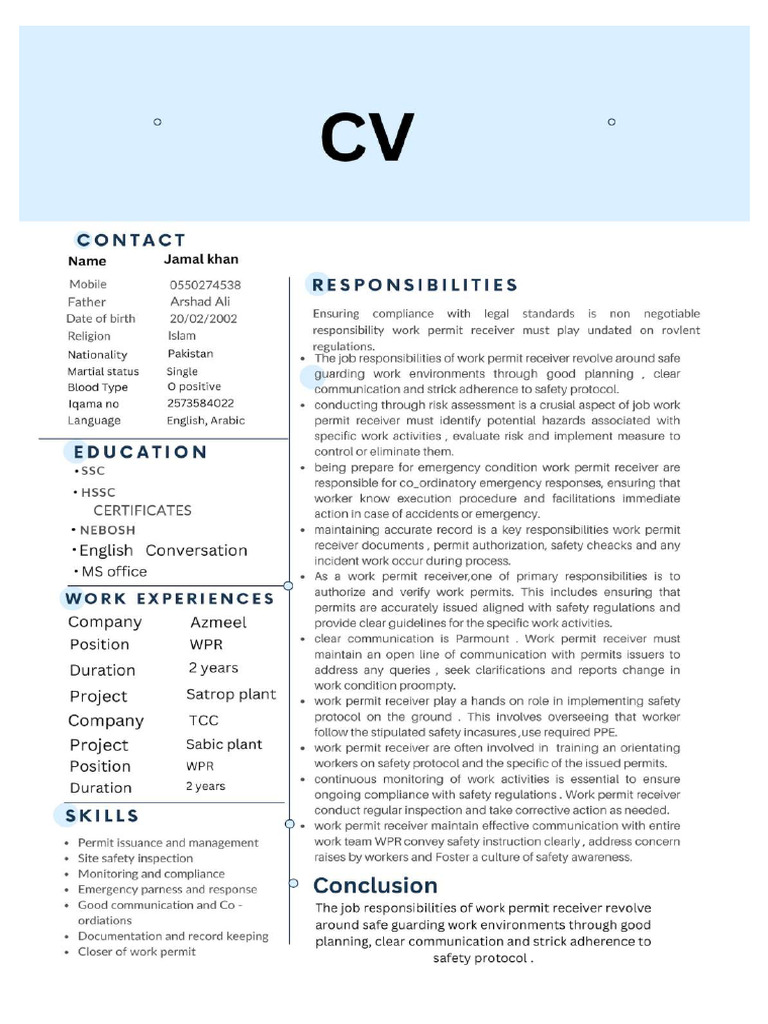 Professional CV Resume 20240605 134737 0000-Compressed | PDF