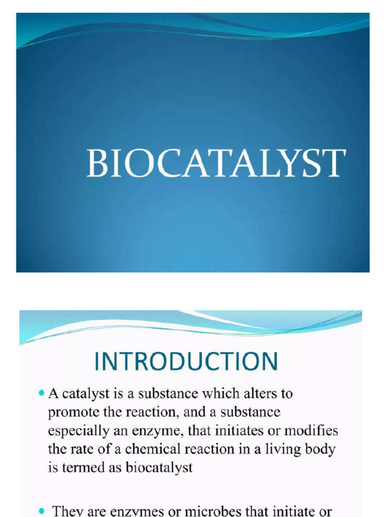 BIOCATALYSIS | PDF