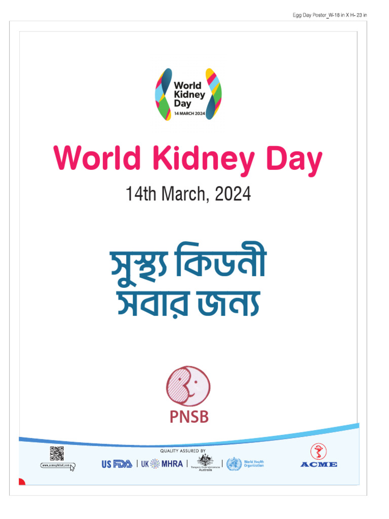 Defrol-Os Kidney Day Playcard | PDF | Wellness