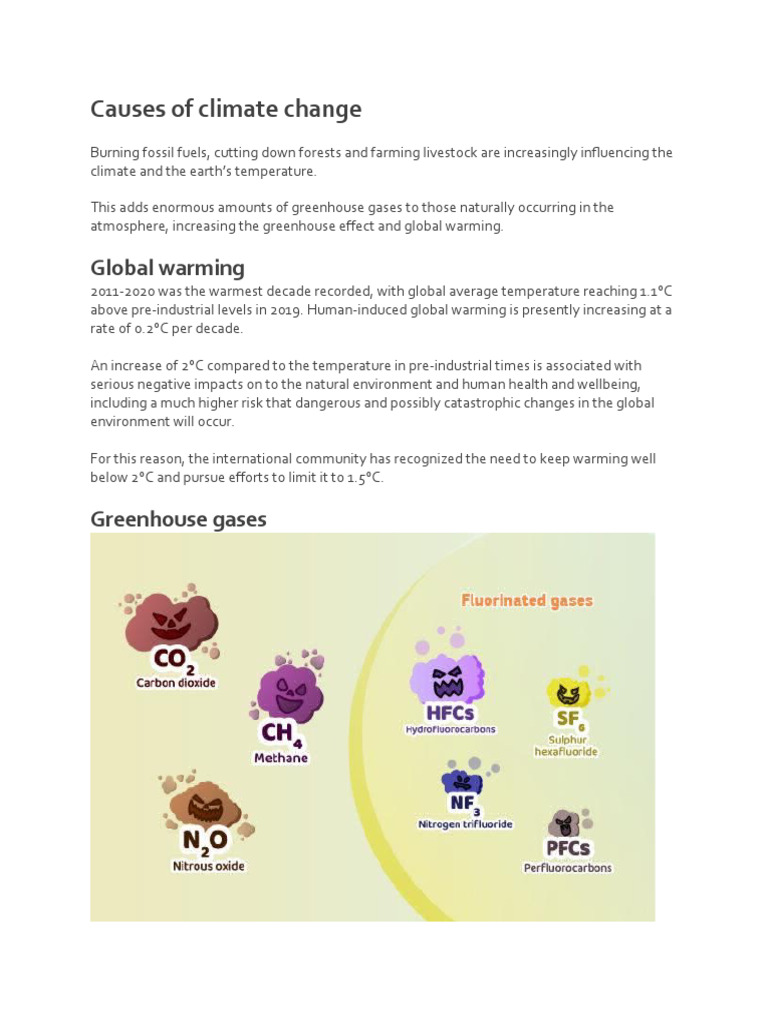Causes of Climate Change | PDF | Climate Change | Greenhouse Gas