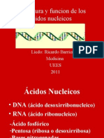 Estructura y Funcion de Los Acidos Nucleicos Medicina 2011