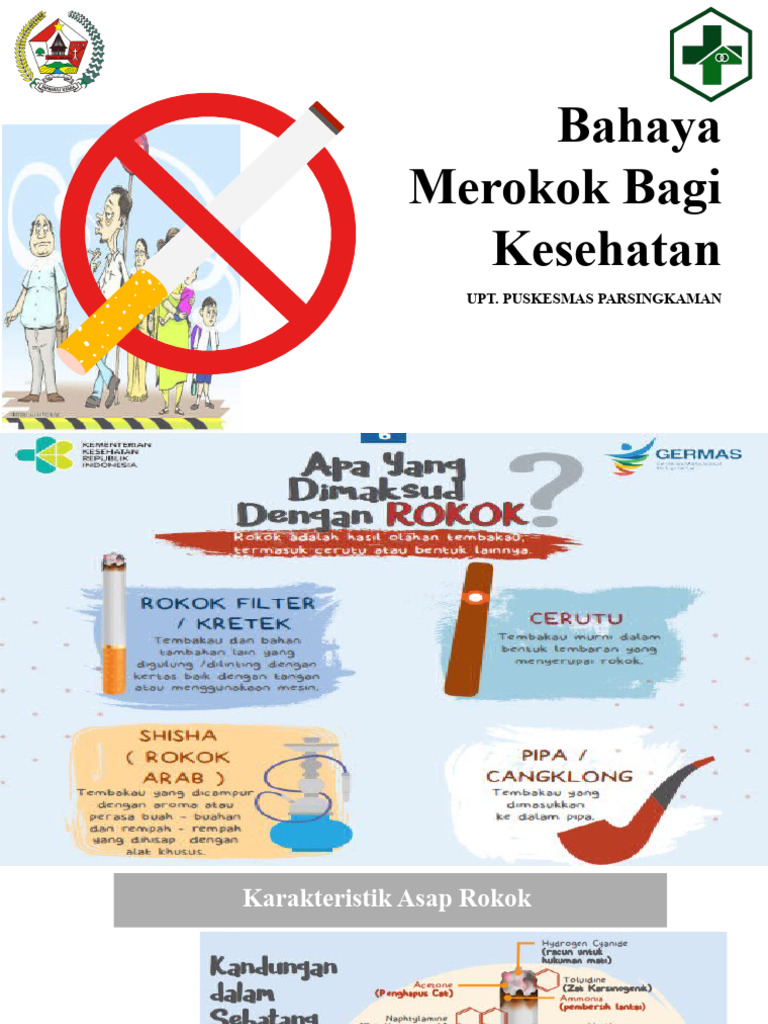 Perilaku Merokok | PDF