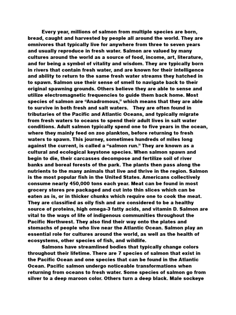Salmon Essay | PDF | Salmon | Fish