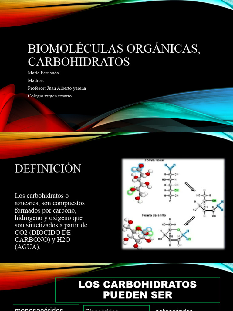 Biomoléculas Orgánicas, Carbohidratos | PDF