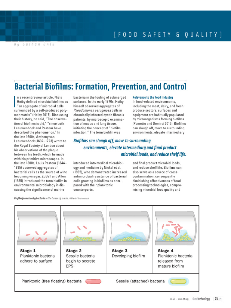 Bacterial Biofilms - Gulhan Unlu | PDF | Biofilm | Bacteria