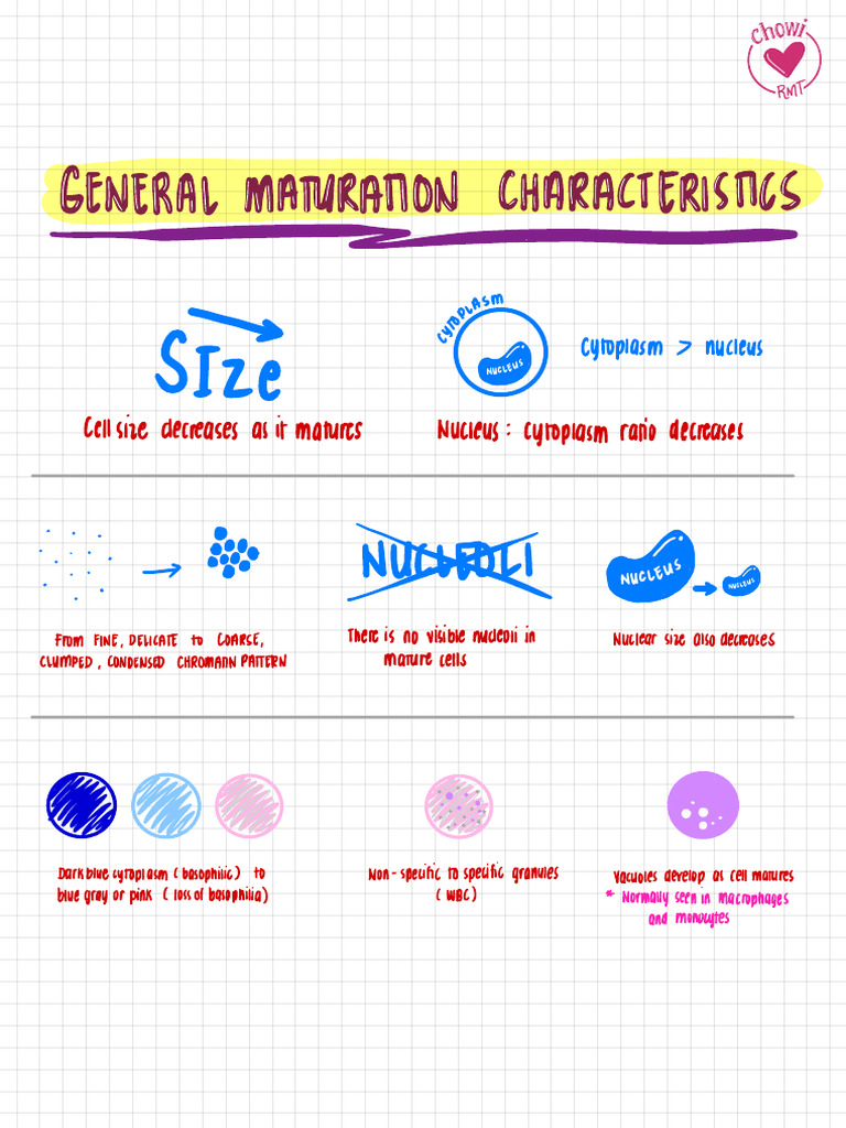 Maturation Characteristics | PDF