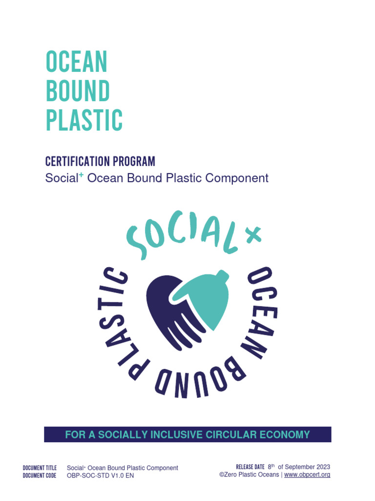 OBP-SOC-STD-V1.0-EN | Download Free PDF | Employment | Occupational ...