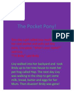 The Pocket Pony