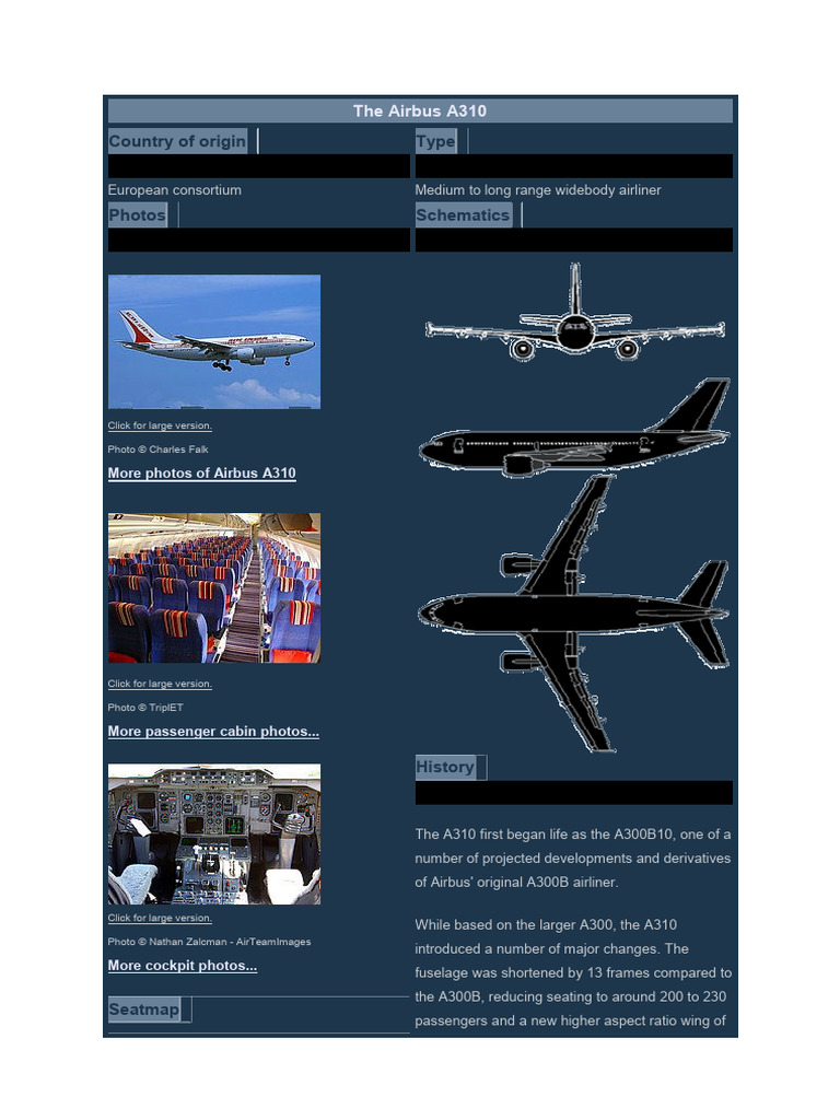 Country of Origin Type: The Airbus A310 | PDF | Vehicle Design | Aircraft