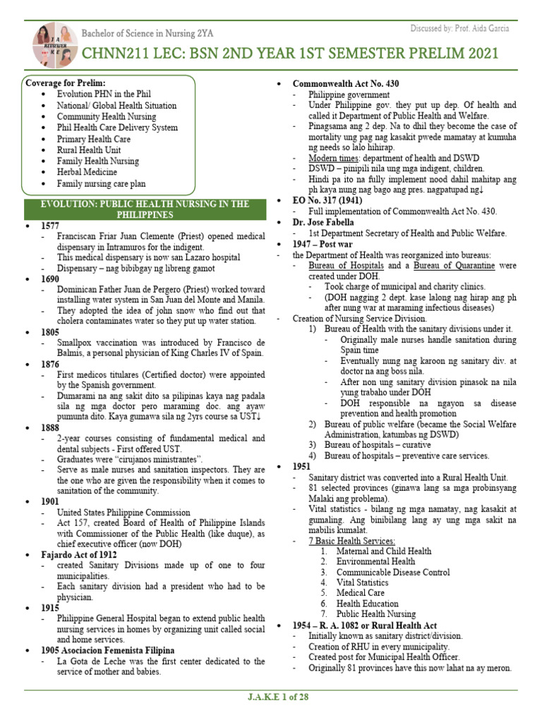 Public Health Nursing Evolution in the Philippines | PDF | Health Care ...